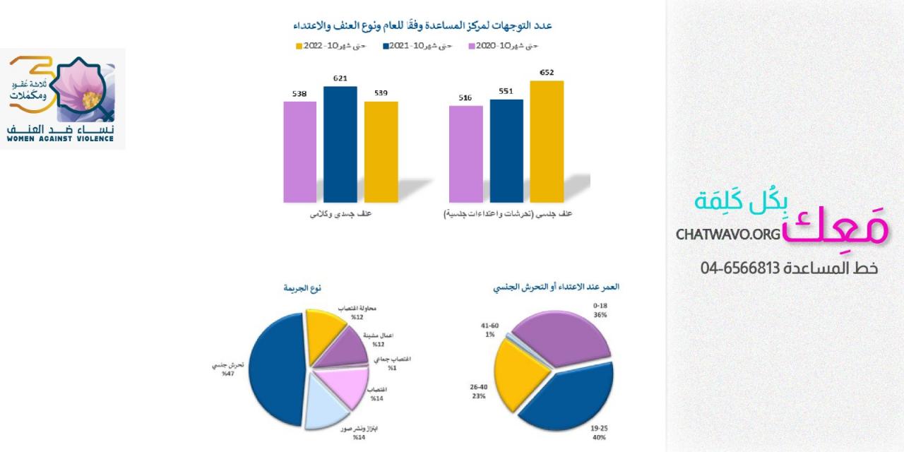 تقرير تلخيصي - مركز مساعدة ضحايا العنف الجنسي والجسدي